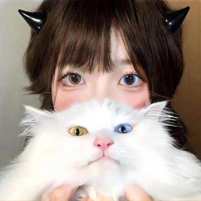 海盗岛：甲板上的家族